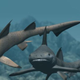 Image for article titled 230-million-year-old teeth reveal sharks' adorable origins